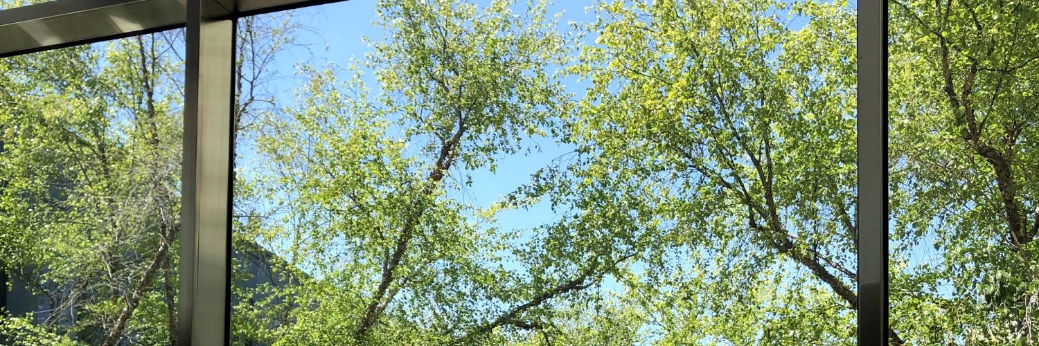 vxdp's profile banner image