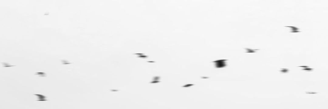 gottdeus's profile banner image