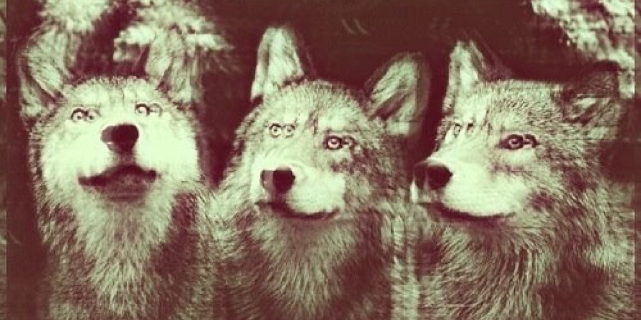 ivan_flores_'s profile banner image