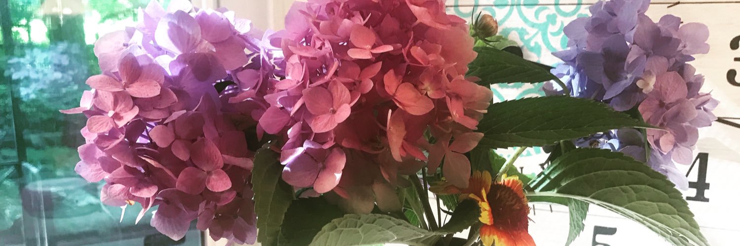 elizabeth_shell's profile banner image