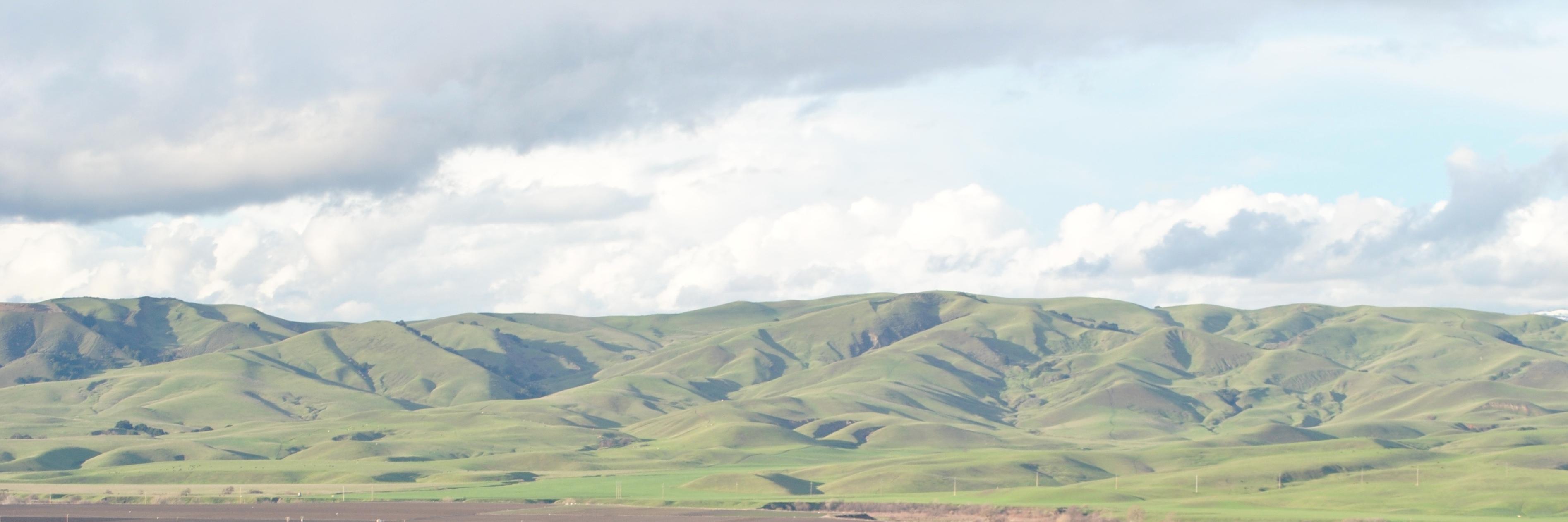 MorrisGrassfed banner