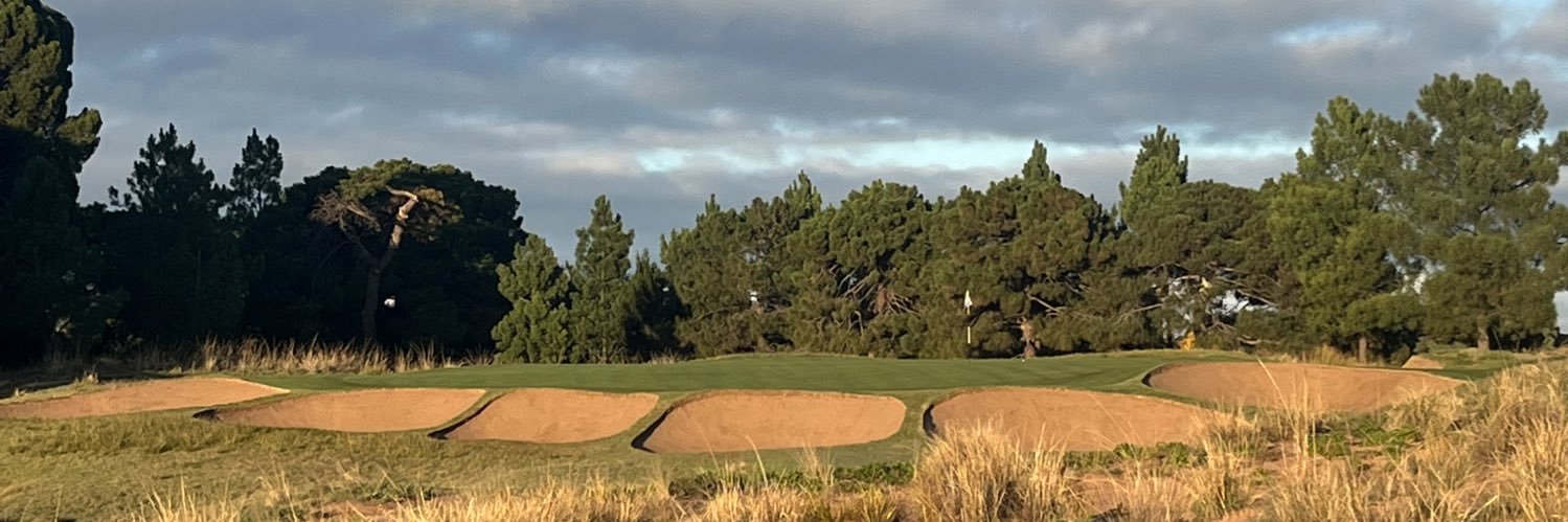 The Shank Show banner