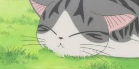 JenniferInu's profile banner image