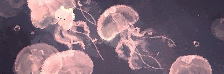 wntrthvs's profile banner image