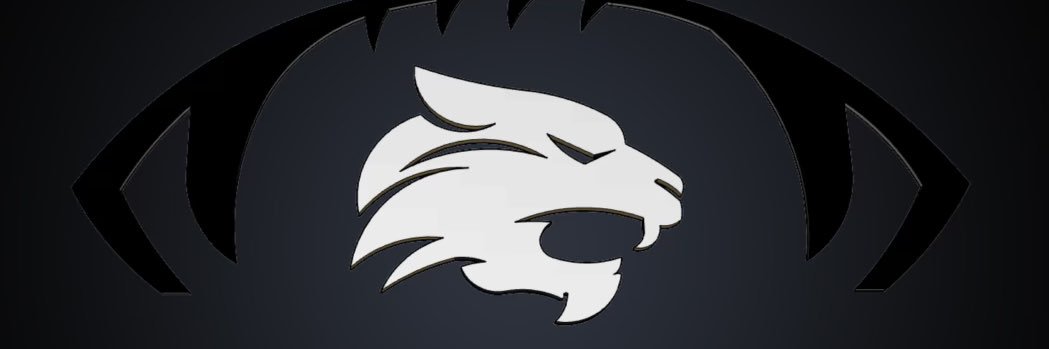 Coach Tyler Vann banner