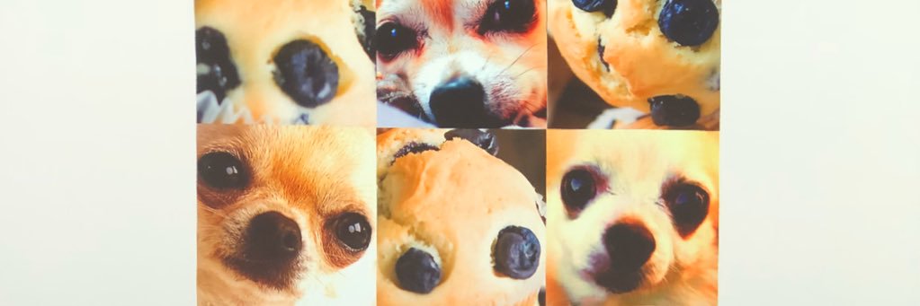 nicnguyen's profile banner image