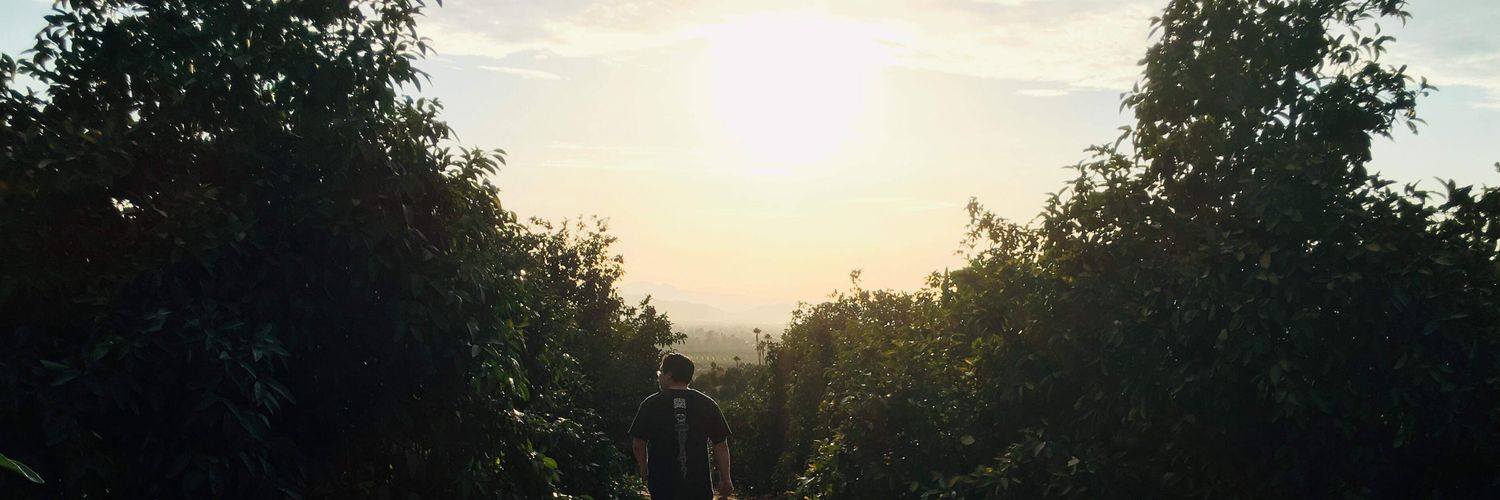 FeelsLikeAVoid's profile banner image