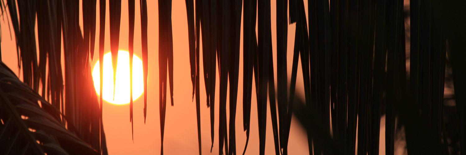 anibrata99's profile banner image