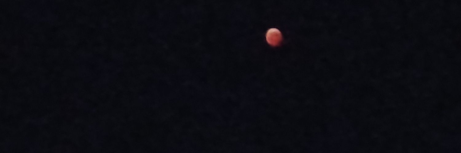 ForNoOne banner