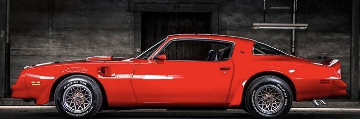 Torobianco ◻️🇨🇱 banner