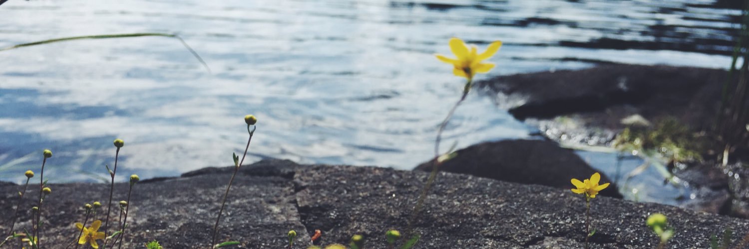 alexaa_e's profile banner image