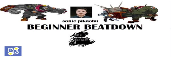 Sonic Pikachu Profile Banner