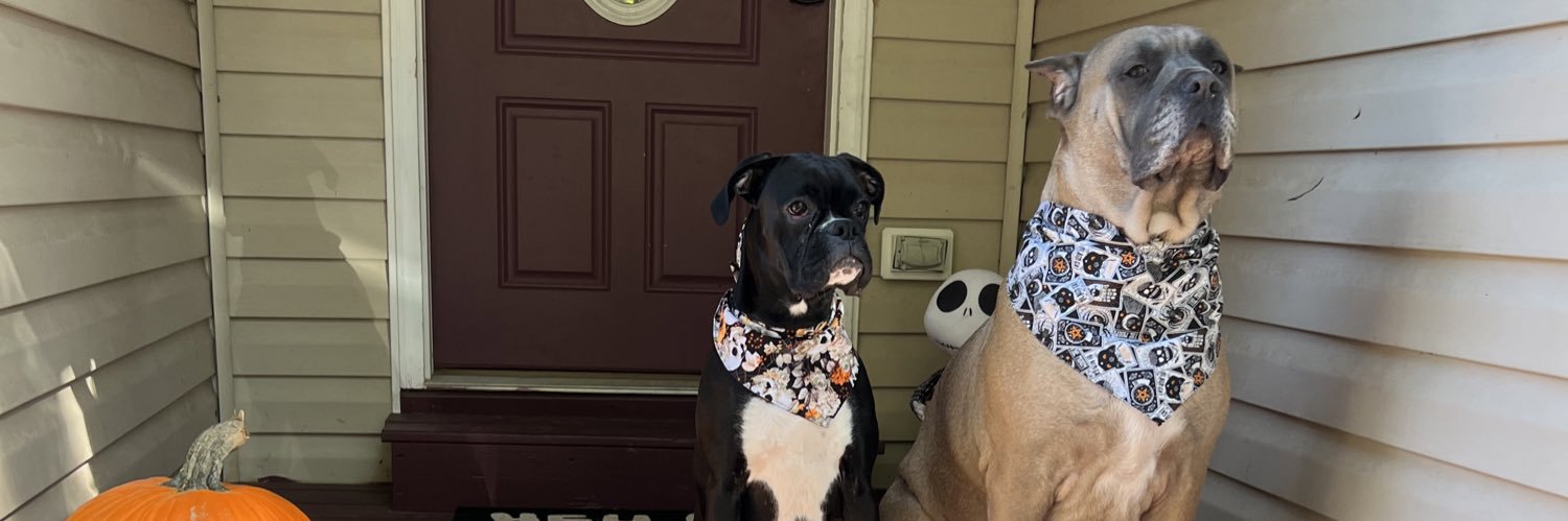 KathleenWhitlow's profile banner image