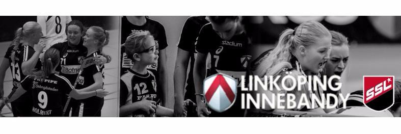 Linköping IBK Dam banner