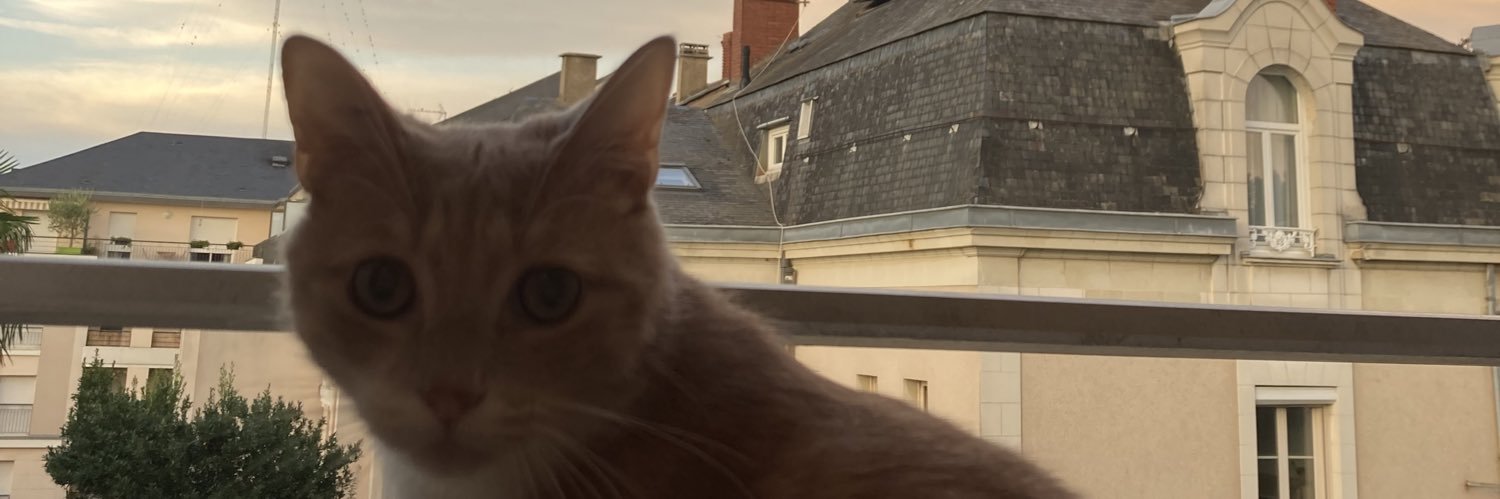 LounaBnt's profile banner image