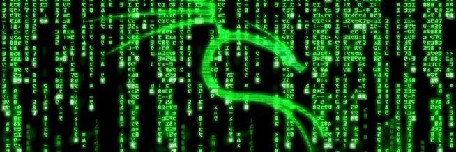 LSchnetler's profile banner image