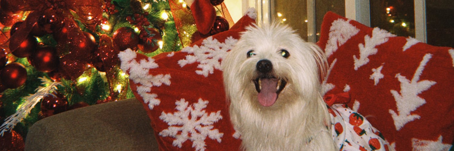 arnee banner