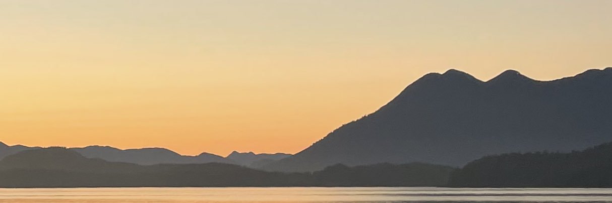tjfournier's profile banner image