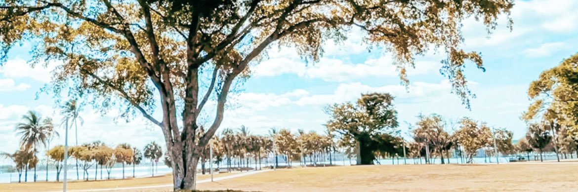 Ximena 🌲 banner