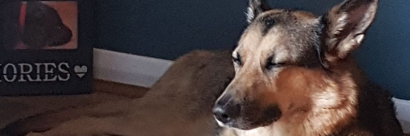 It's a Secret banner