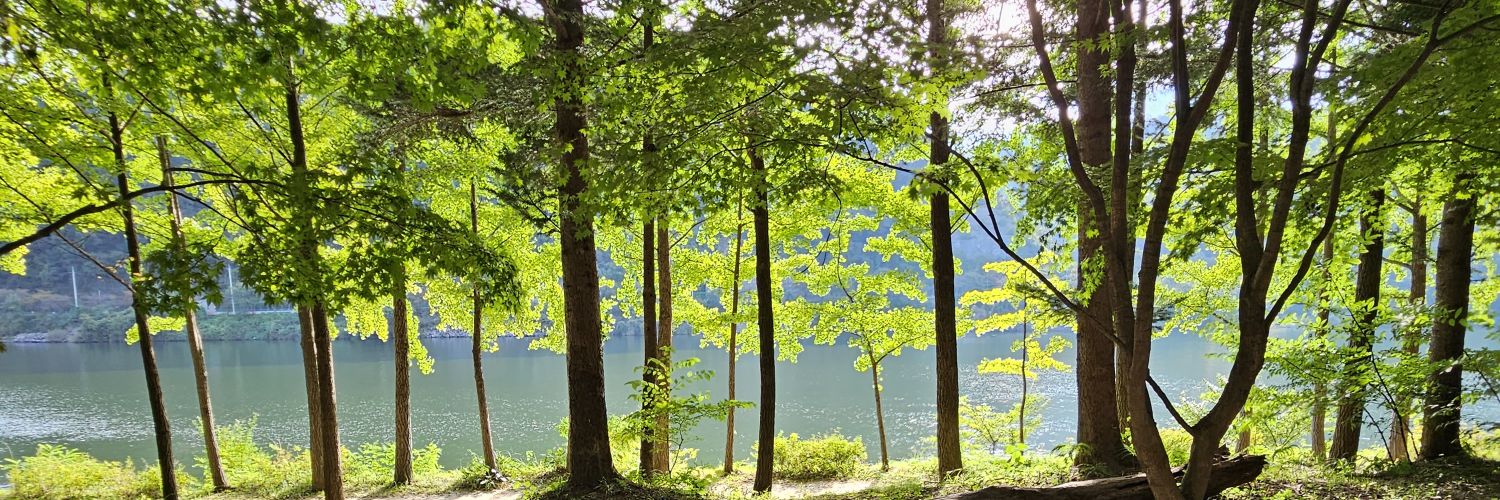 로진🕯 banner