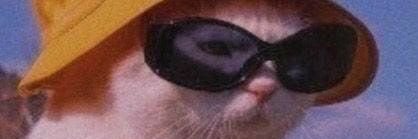 trasheska's profile banner image