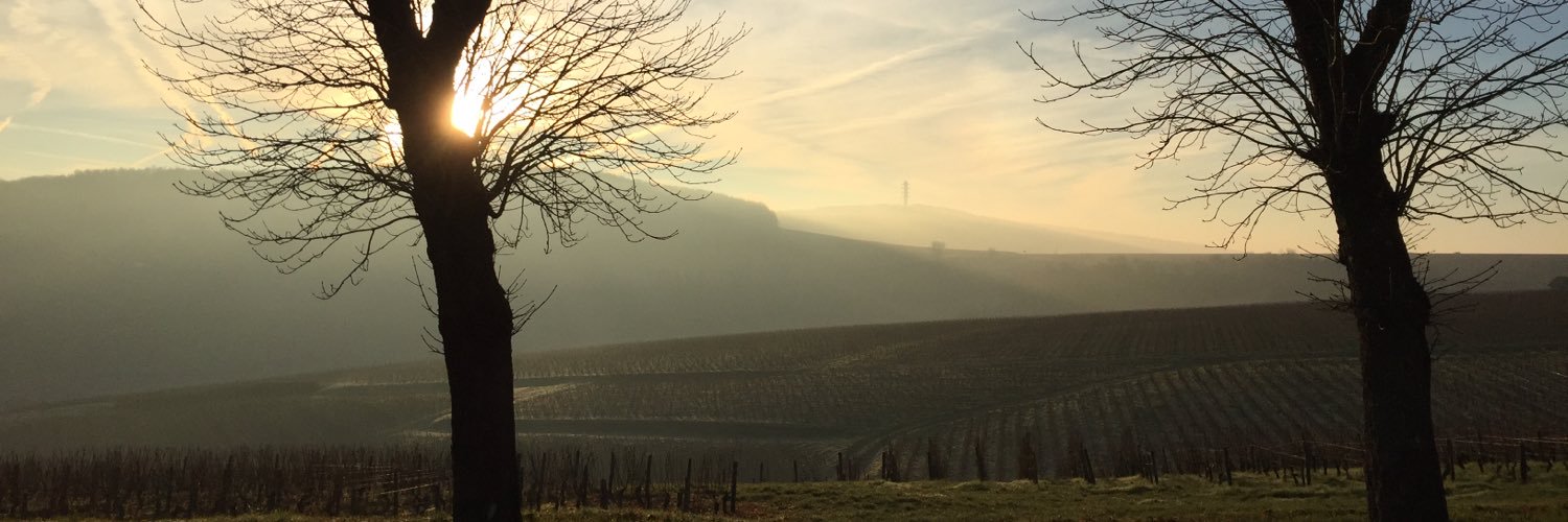 Victoria Mason banner