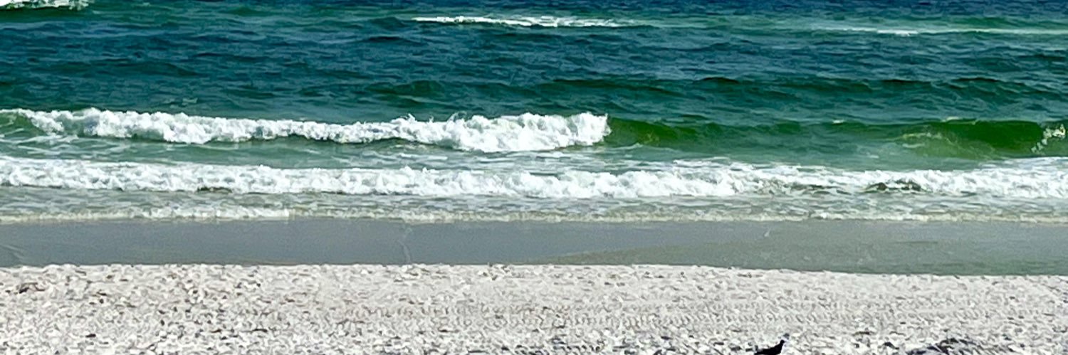 Amybcba's profile banner image