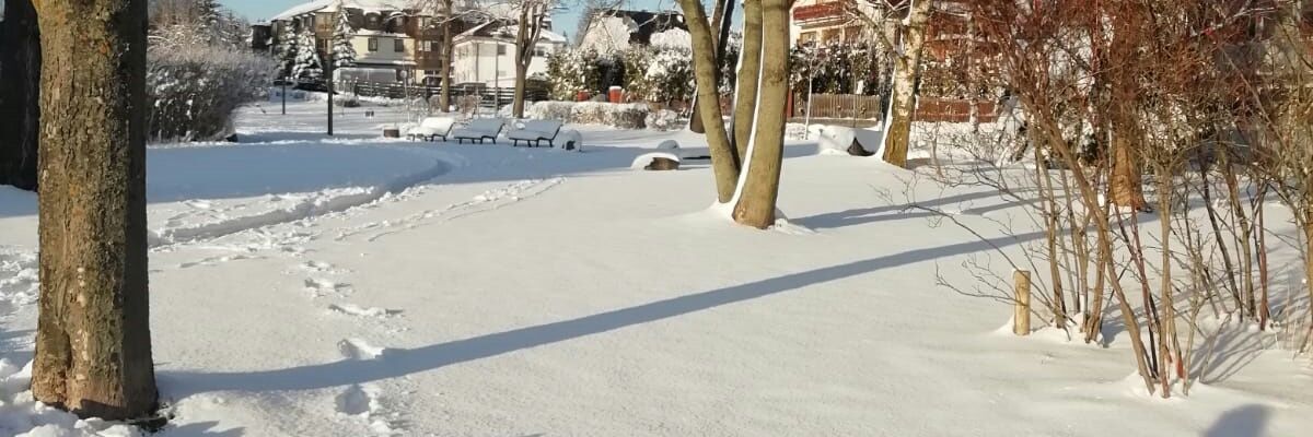 Norflex16's profile banner image