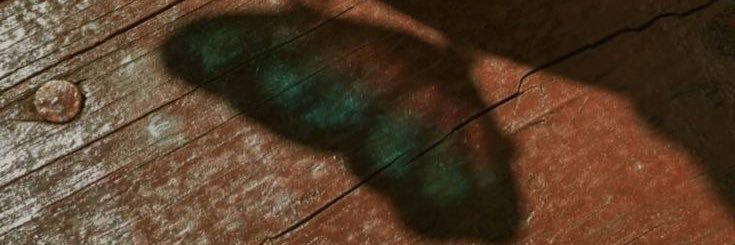 aynentucce's profile banner image