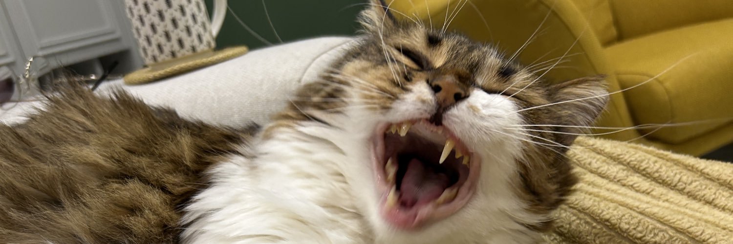 BenBuseBuseBen's profile banner image