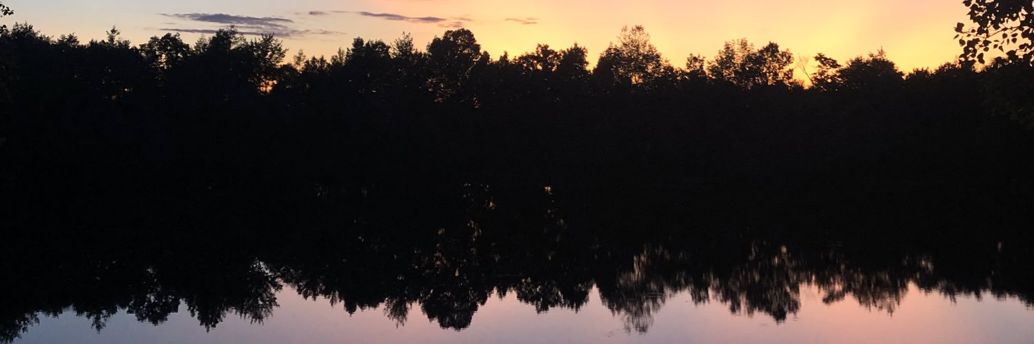 Ali_campbell_'s profile banner image