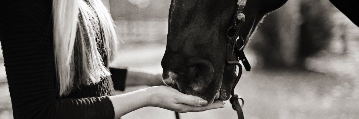 _izzy_horn_'s profile banner image