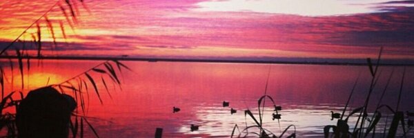 FrommJake Profile Banner