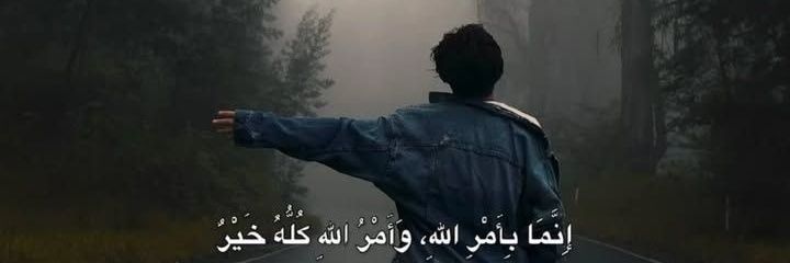 Elprofessor banner