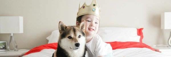 ลูกชิ้นทอดไส้กรอกแดงกรอบๆ banner