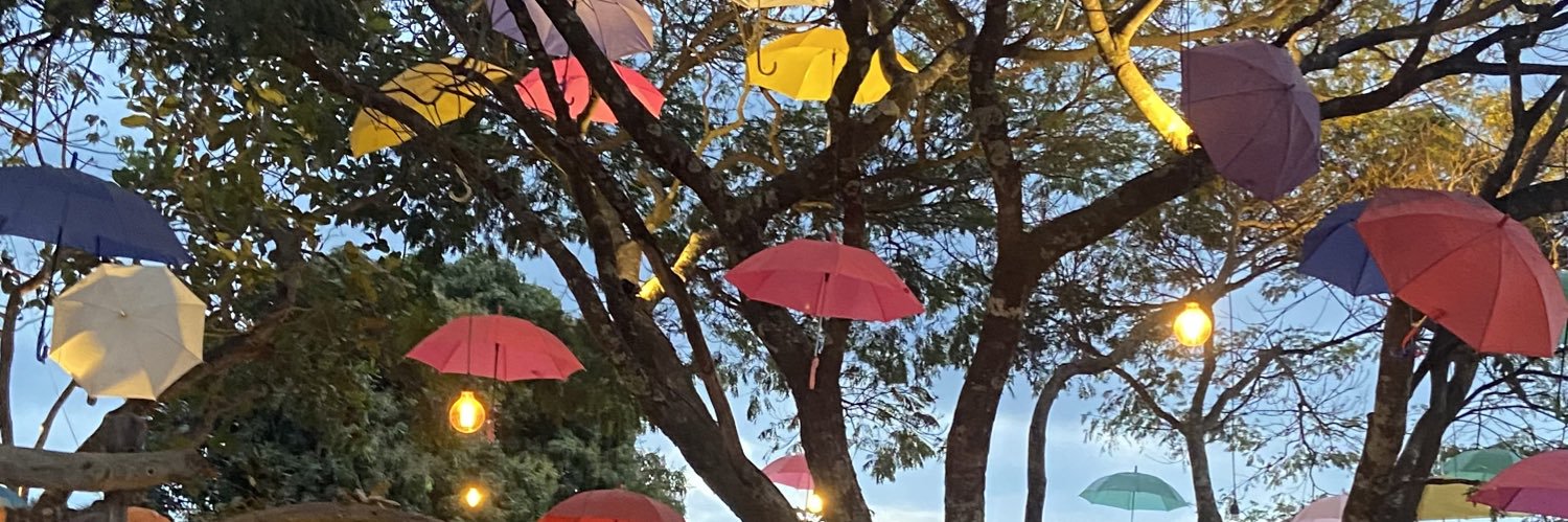 kellyspimenta's profile banner image