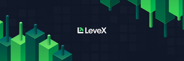LeveX Profile Banner