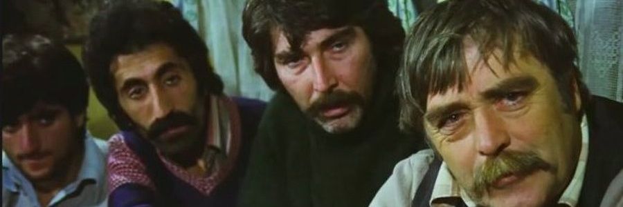 basharanh's profile banner image