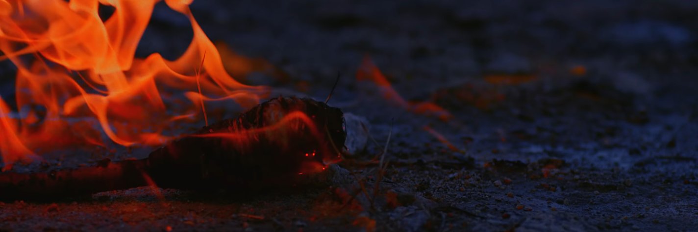 AndroidKyle's profile banner image