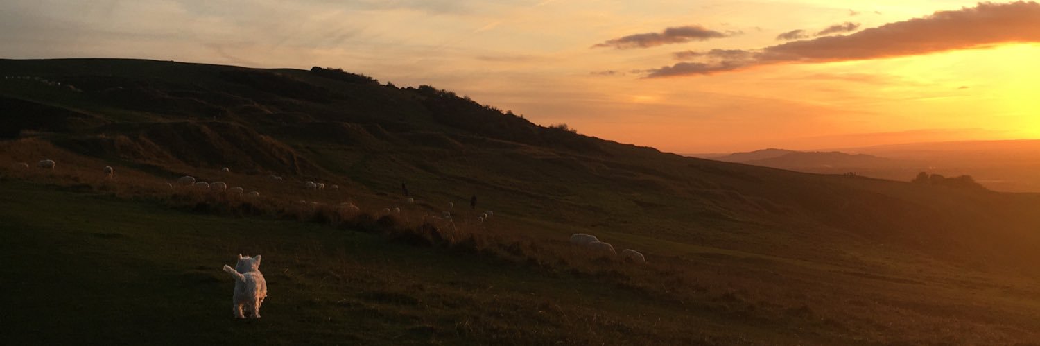 hattiejdavis's profile banner image