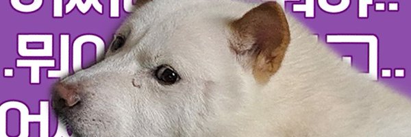 happyjindowoong Profile Banner