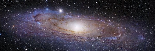 sleuth_fox Profile Banner