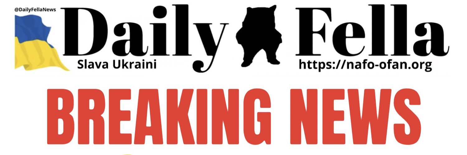 DAILY FELLA's banner