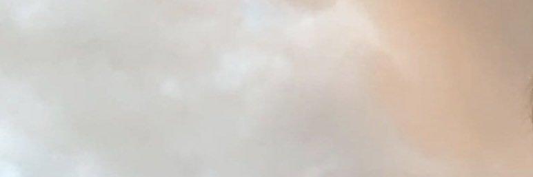 Merrilee4's profile banner image
