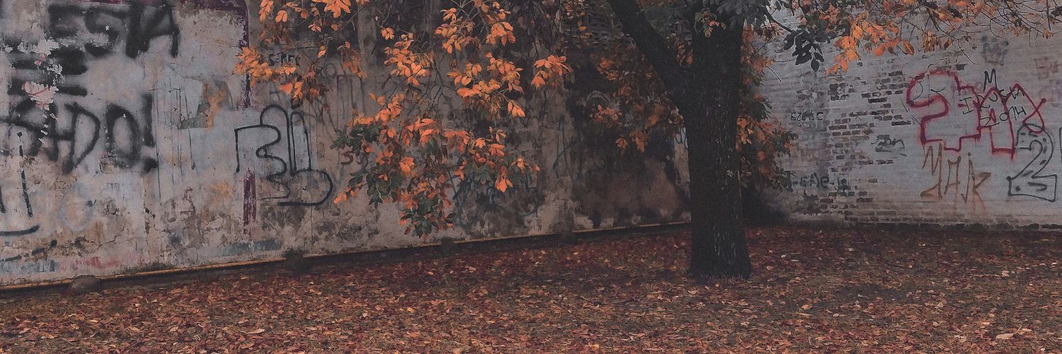 mainflu4's profile banner image