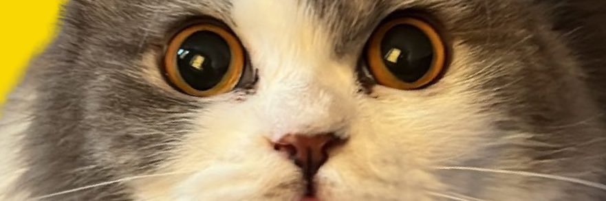 billychrist14n's profile banner image