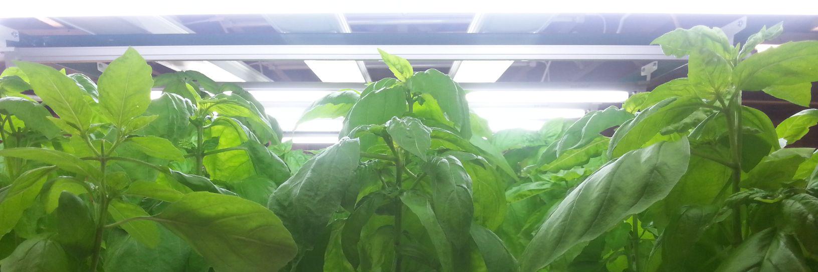 Gro-operative banner