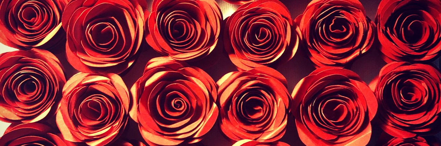 Dawn Drazek banner