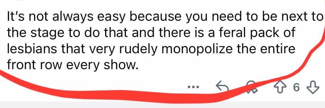 lizard minnelli banner